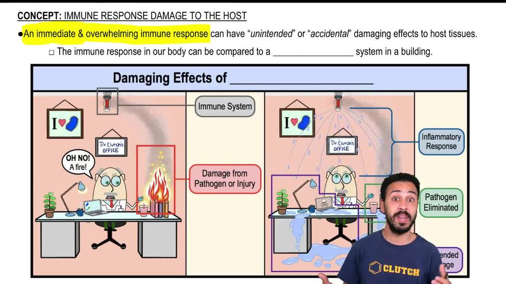 Intro to Immune Response Damage