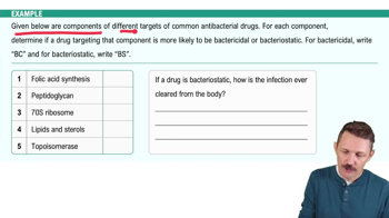 How Antimicrobial Drugs Work Example 1