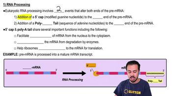 1) RNA Processing