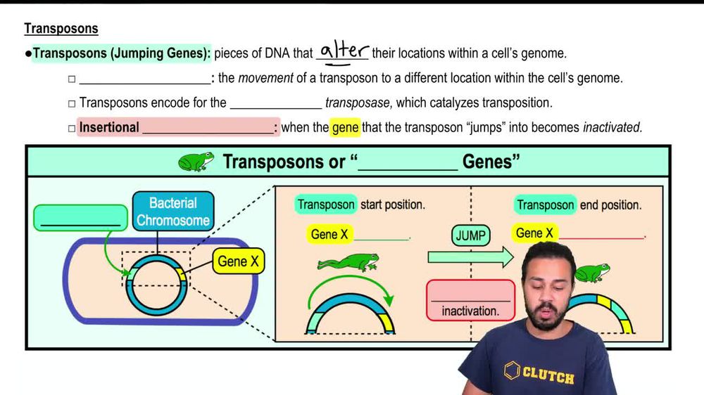 Transposons in Prokaryotes