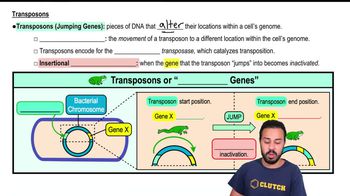 Transposons in Prokaryotes