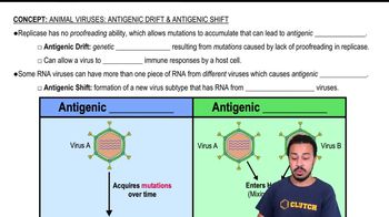Animal Viruses: Antigenic Drift vs. Antigenic Shift