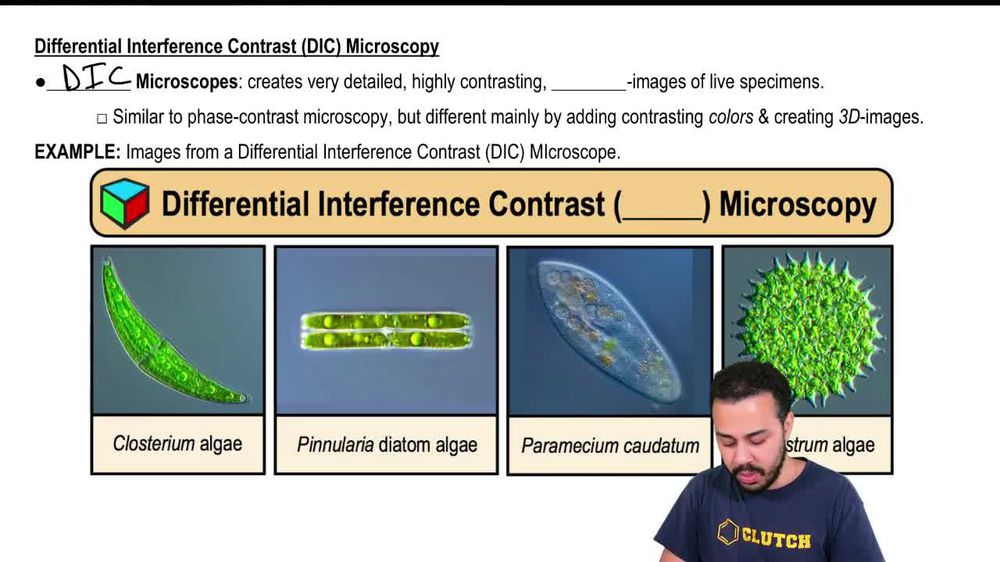 Differential Interference Contrast (DIC) Microscopy