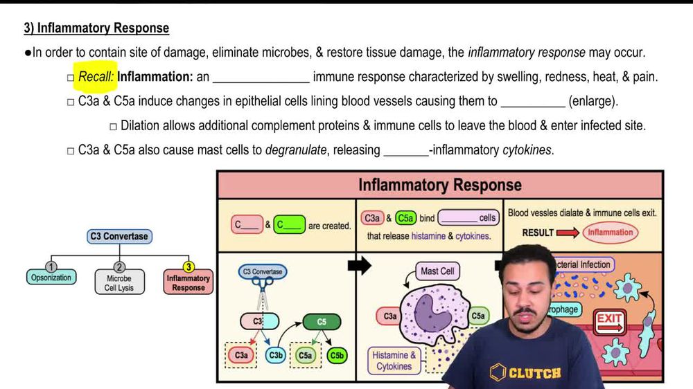 3) Inflammatory Response