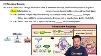 3) Inflammatory Response