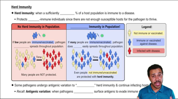 Herd Immunity