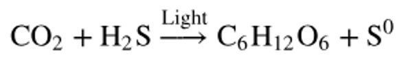 Chemical equation showing carbon dioxide and hydrogen sulfide converted by light into glucose and elemental sulfur.