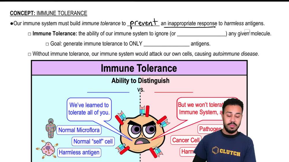 Immune Tolerance