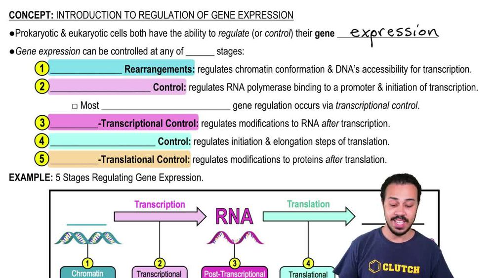 Introduction to Regulation of Gene Expression