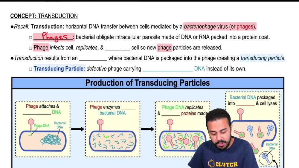 Transduction