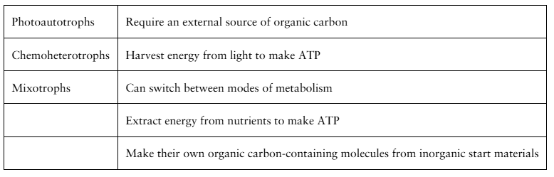 Table matching metabolic terms to their definitions, with some terms used multiple times for statements.