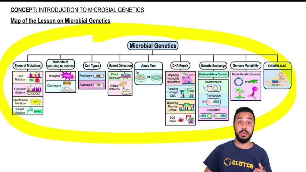 Map of the Lesson on Microbial Genetics