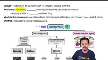 Acellular Infectious Agents: Viruses, Viroids & Prions