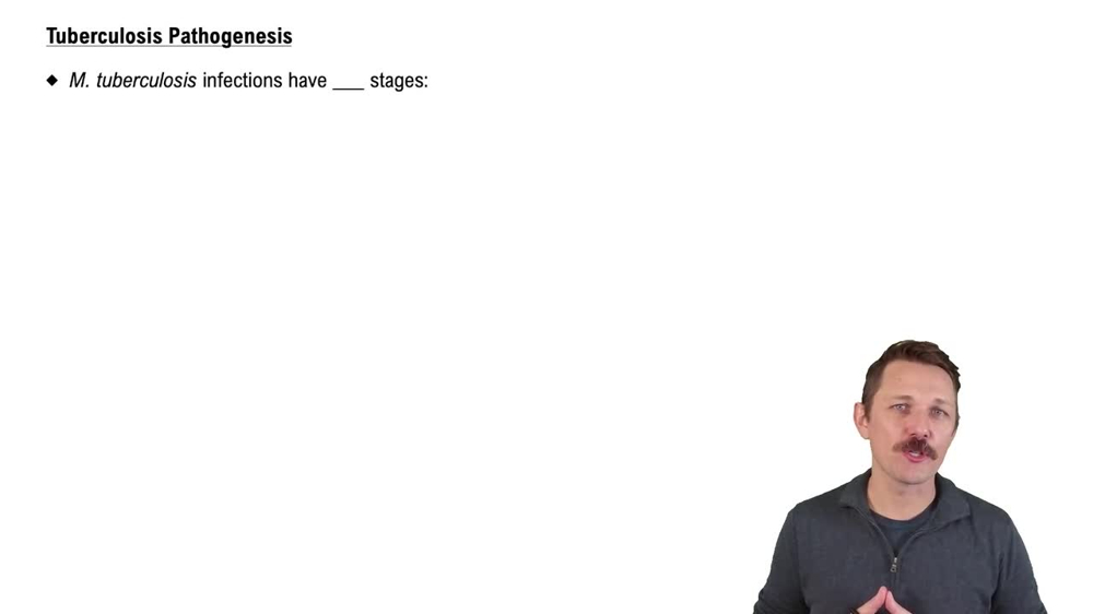 Tuberculosis Pathogenesis