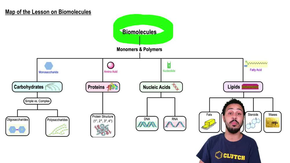 Map of the Lesson on Biomolecules
