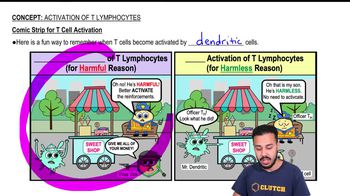 Comic Strip for T Cell Activation
