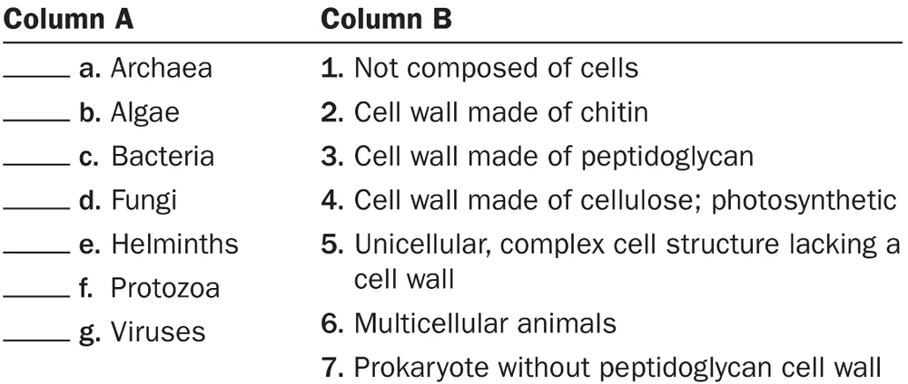 Matching exercise with two columns listing microorganisms and their corresponding descriptions to be paired.