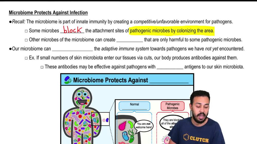 Microbiome Protects Against Infection