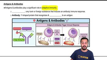 Antigens & Antibodies