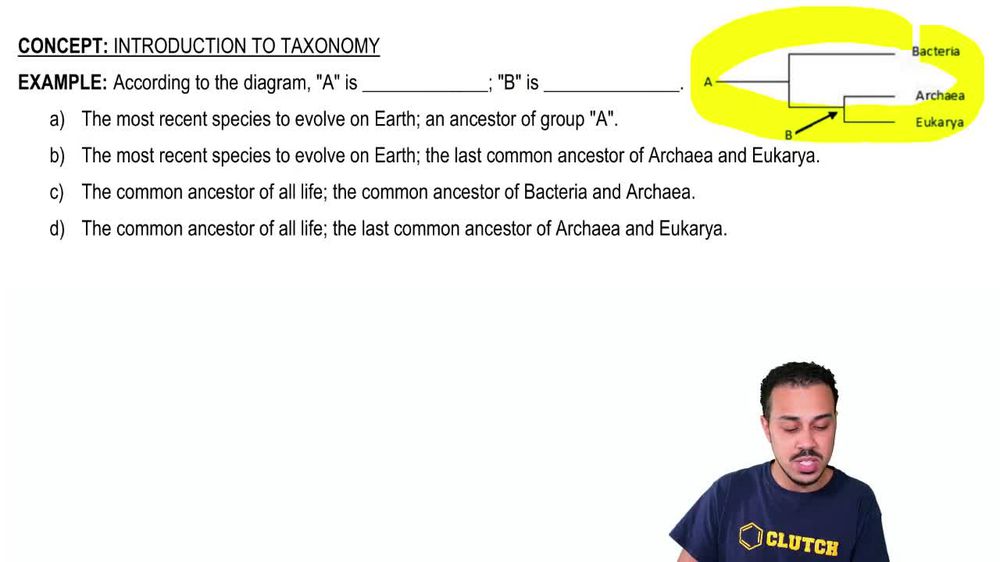Introduction to Taxonomy Example 1