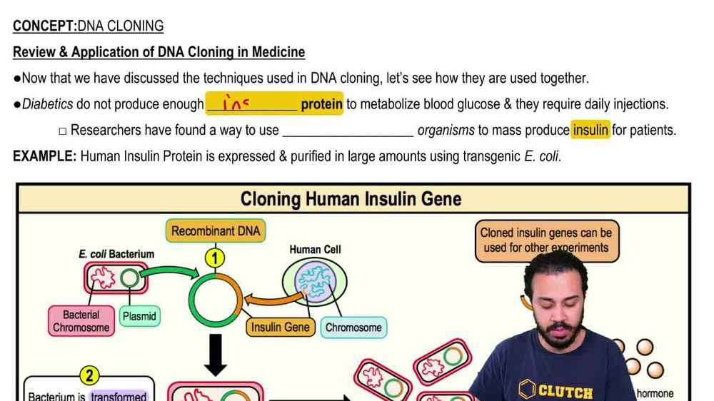 Review & Application of DNA Cloning in Medicine