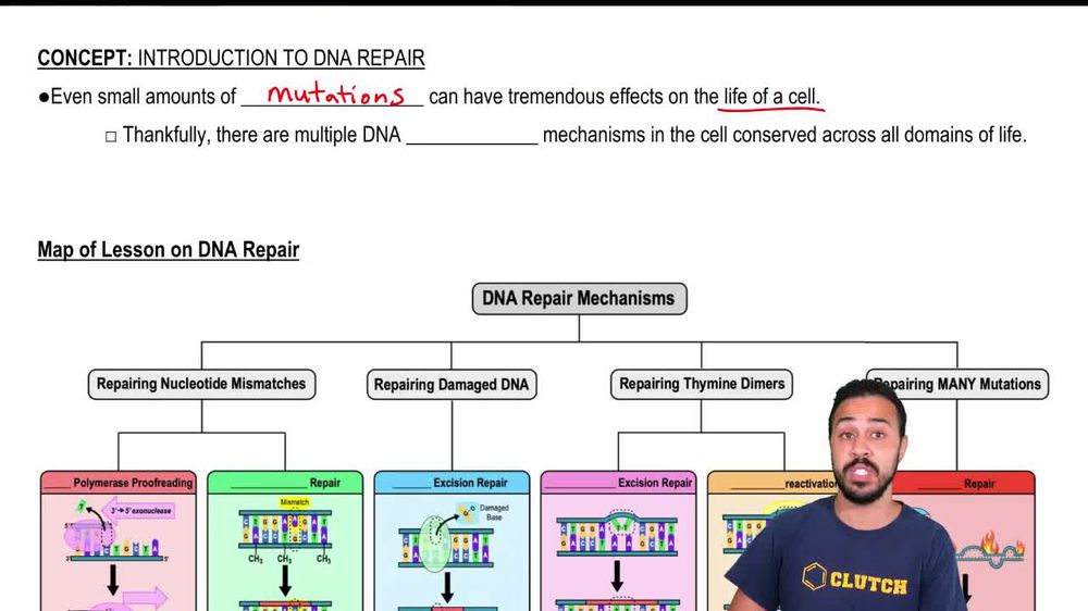 Introduction to DNA Repair