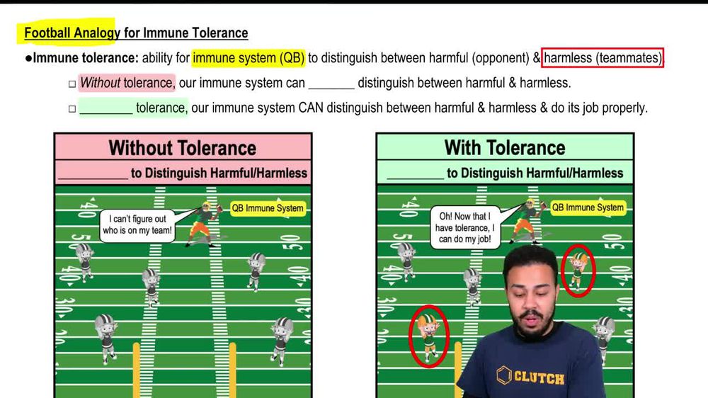 Football Analogy for Immune Tolerance