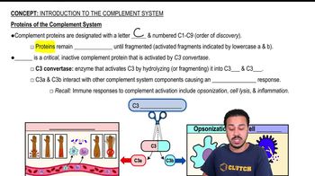 Proteins of the Complement System