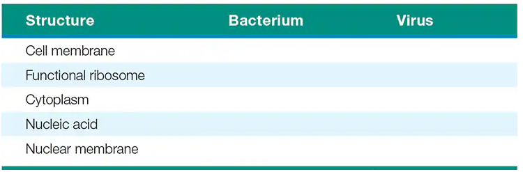 Table comparing cellular structures present in bacteria and viruses, including membrane, ribosome, cytoplasm, nucleic acid, and nuclear membrane.