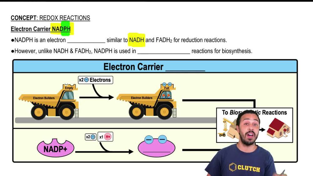 Electron Carrier NADPH