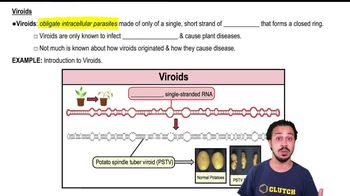Viroids