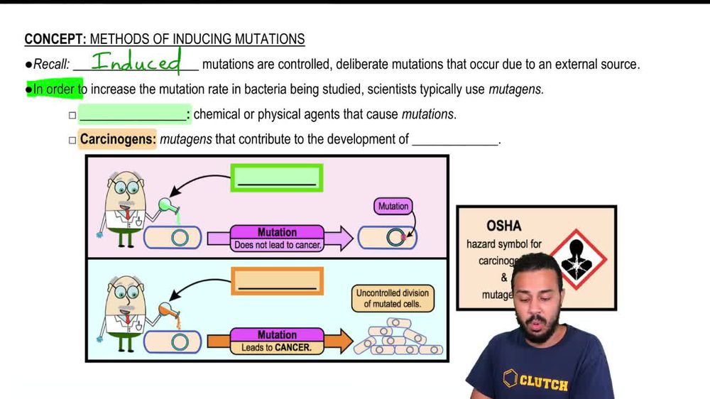 Methods of Inducing Mutations