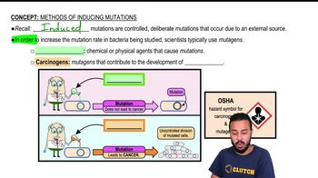 Methods of Inducing Mutations