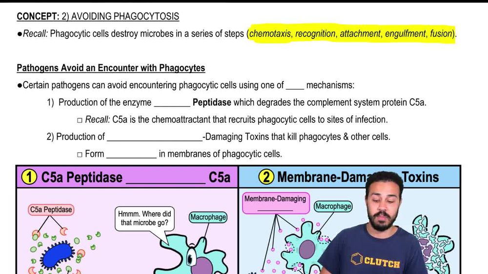 Pathogens Avoid Encounter with Phagocytes