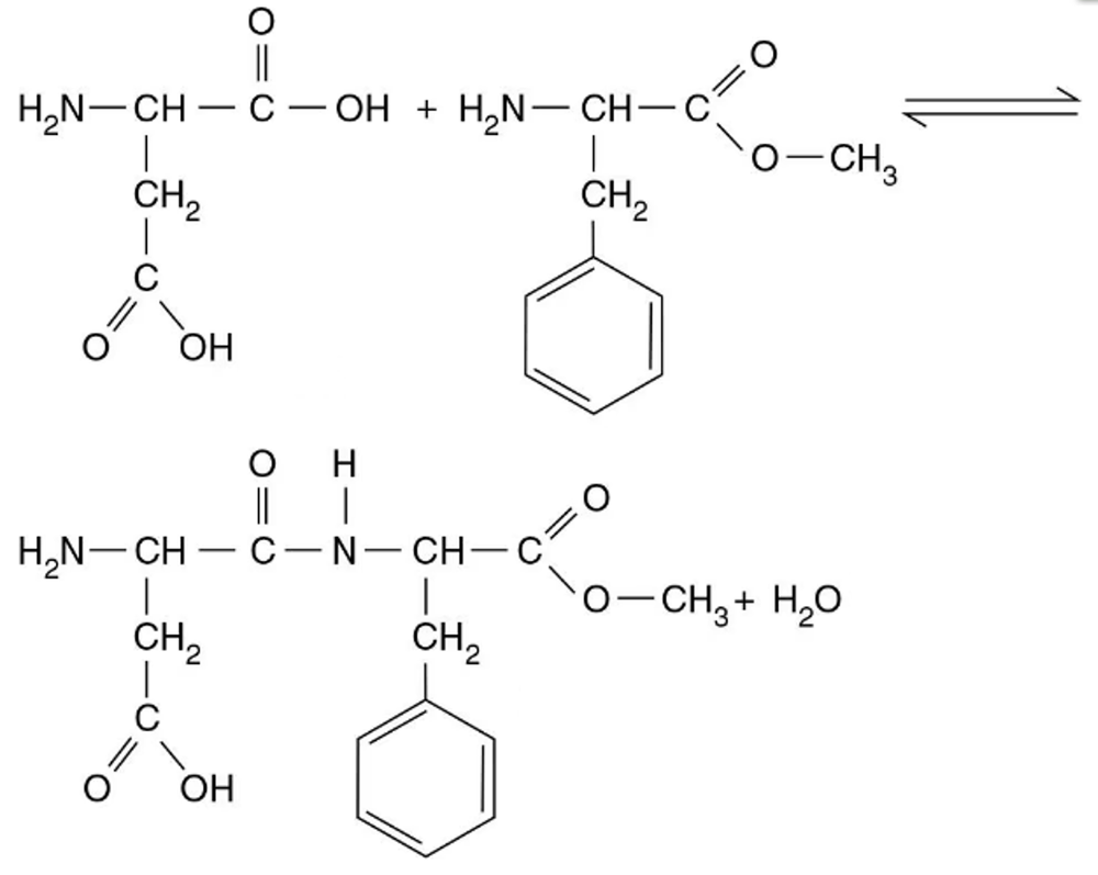 Chemical structures showing aspartic acid and methylated phenylalanine forming aspartame with peptide bond and water molecule.