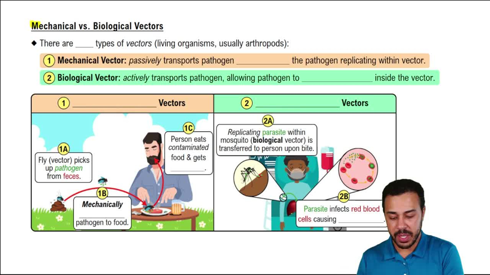 Mechanical vs. Biological Vectors