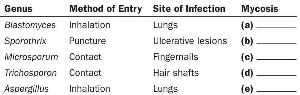 Table listing fungi genus, their entry methods (inhalation, puncture, contact), infection sites, and blank mycosis categories to classify.