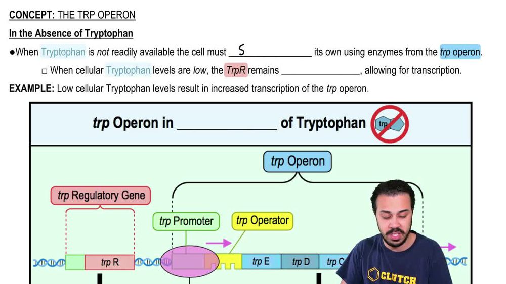 In the Absence of Tryptophan