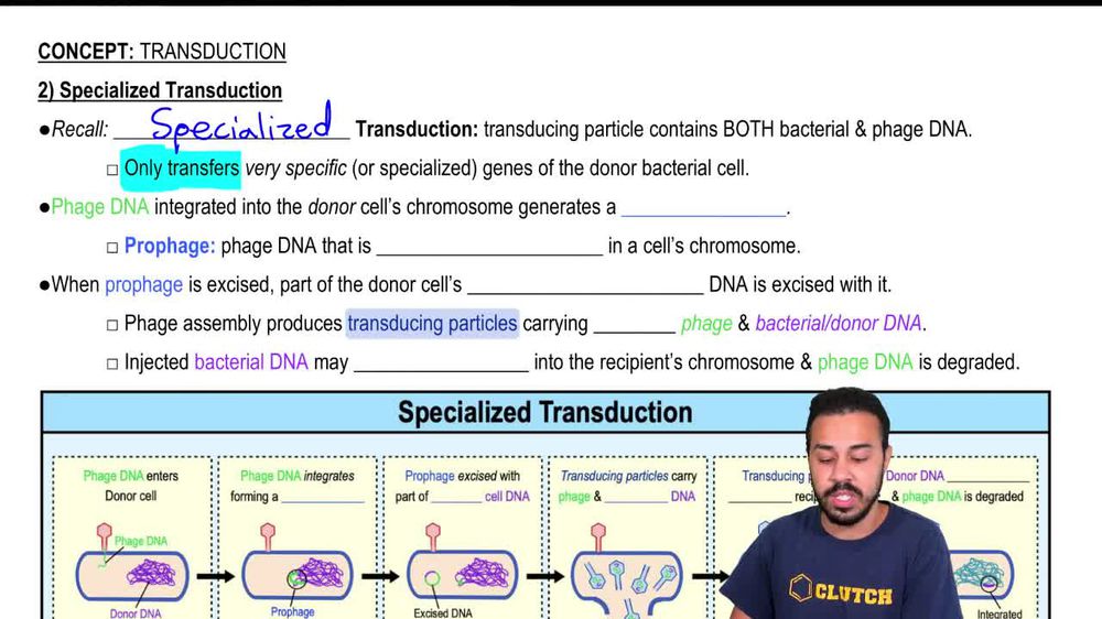 Specialized Transduction