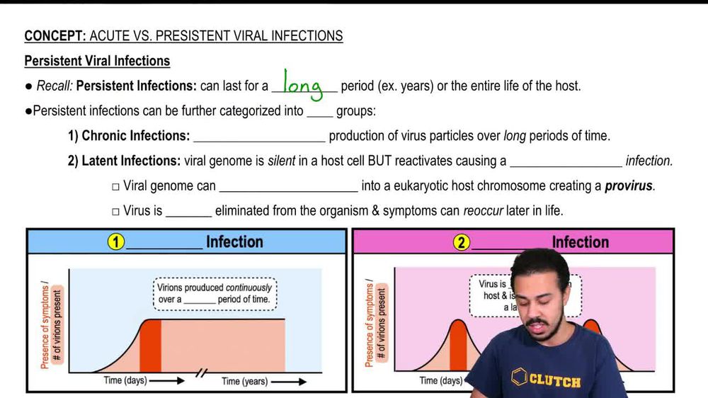 Persistent Viral Infections