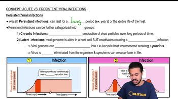 Persistent Viral Infections