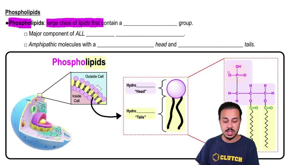 Phospholipids
