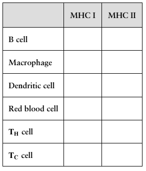 Table with cell types listed and empty columns for MHC I and MHC II presence to be completed.