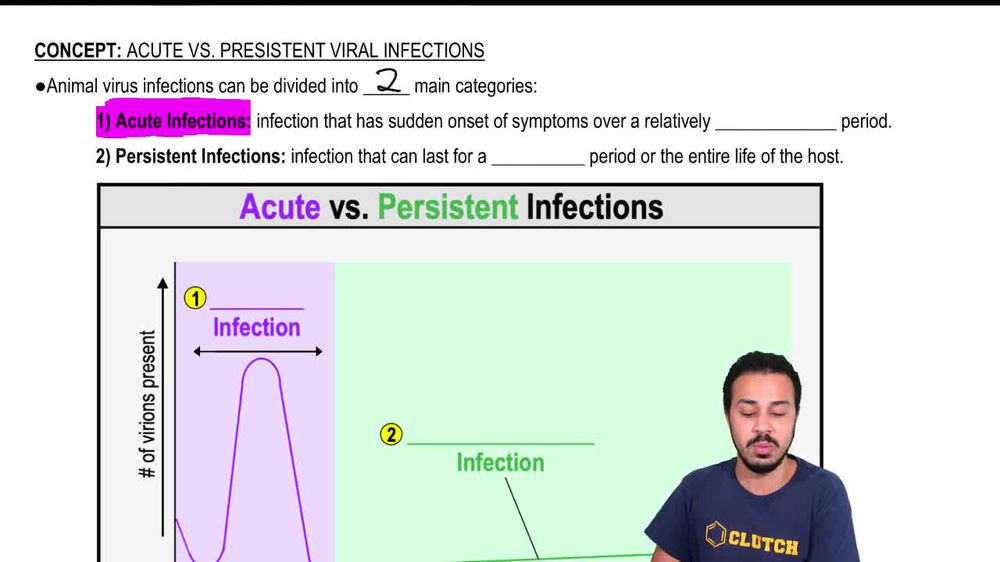 Acute vs. Persistent Viral Infections