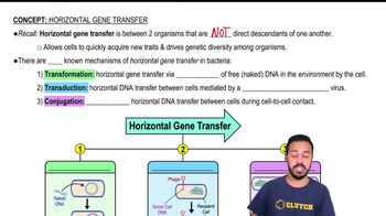 Horizontal Gene Transfer