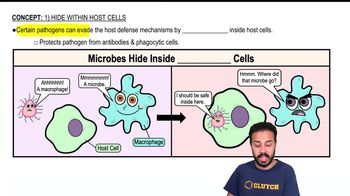 Hide Within Host Cells