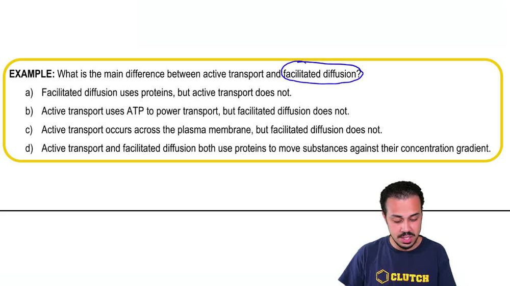Active Transport Example 1