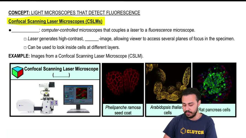 Confocal Scanning Laser Microscopes (CSLMs)