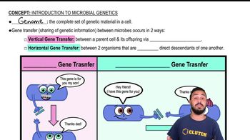 Introduction to Microbial Genetics