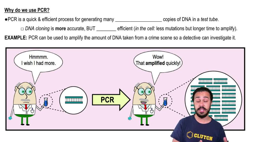 Why do we use PCR?